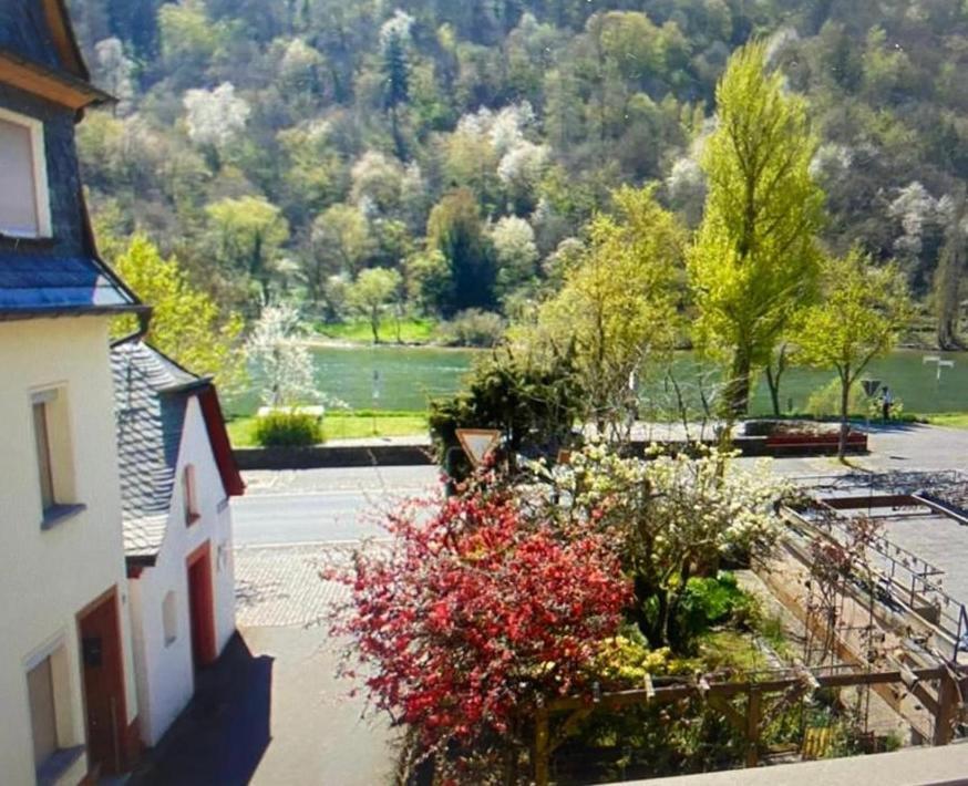 Ferienhaus Moselblick Am Kapellchen Эдигер-Эллер Экстерьер фото